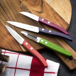 Forest - Set De 4 Couteaux Essentiel" Bois Teinté" -Laguiole Soldes Boutique 3546699791470 4