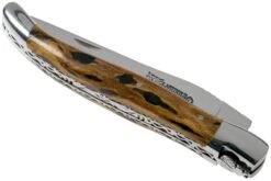 Laguiole En Aubrac 12cm Double Plates, Cactus Poncé Main, L0712CA51-FSI1 -Laguiole Soldes Boutique AUL0712CA51 FSI1 04 laguiole en aubrac v202010