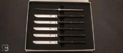 Coffret De 6 Couteaux De Table Manches ébène Par Andrée Putman