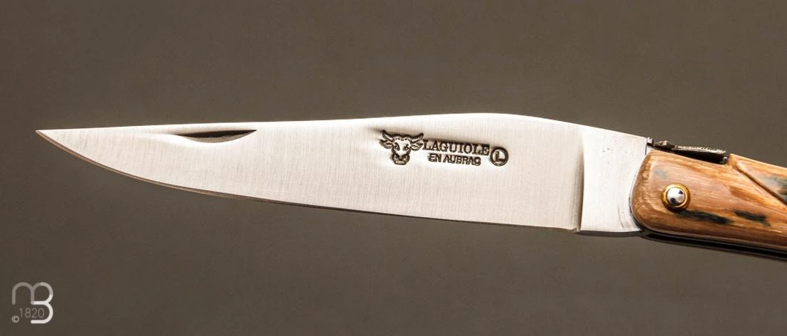 Couteau Laguiole En Aubrac 12 Cm Plein Manche En Croûte De Mammouth 3 Couteau Laguiole En Aubrac 12 Cm Plein Manche En Croûte De Mammouth – Image 3