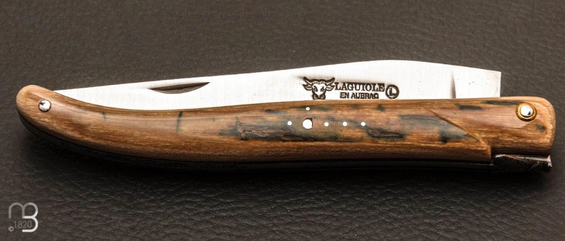 Couteau Laguiole En Aubrac 12 Cm Plein Manche En Croûte De Mammouth 6 Couteau Laguiole En Aubrac 12 Cm Plein Manche En Croûte De Mammouth – Image 6