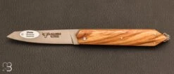Couteau Laguiole En Aubrac Modèle "Bee Back Olivier