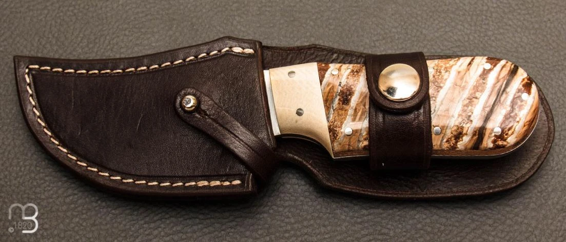 Laguiole Couteau De Collection Fixe "Dodu" Ivoire Et Molaire De Mammouth Par Virgilio Munoz 5 Laguiole Couteau De Collection Fixe "Dodu" Ivoire Et Molaire De Mammouth Par Virgilio Munoz – Image 5