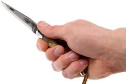 Forge De Laguiole 12110INCABDF, Corne D'Aubrac -Laguiole Soldes Boutique LA12110INCABDF 07 forge de laguiole la12110incabdf 07