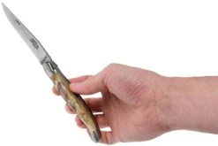 Forge De Laguiole 12 Cm 1212INBESAT Corne De Bélier, Couteau Laguiole -Laguiole Soldes Boutique LA1212INBESAT 08 forge de laguiole