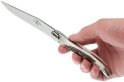 Forge De Laguiole, T22MINCFBRI, Corne De Cerf -Laguiole Soldes Boutique LAT22MINCFBRI 07 forge de laguiole steakmesset lat22mincfbri 07